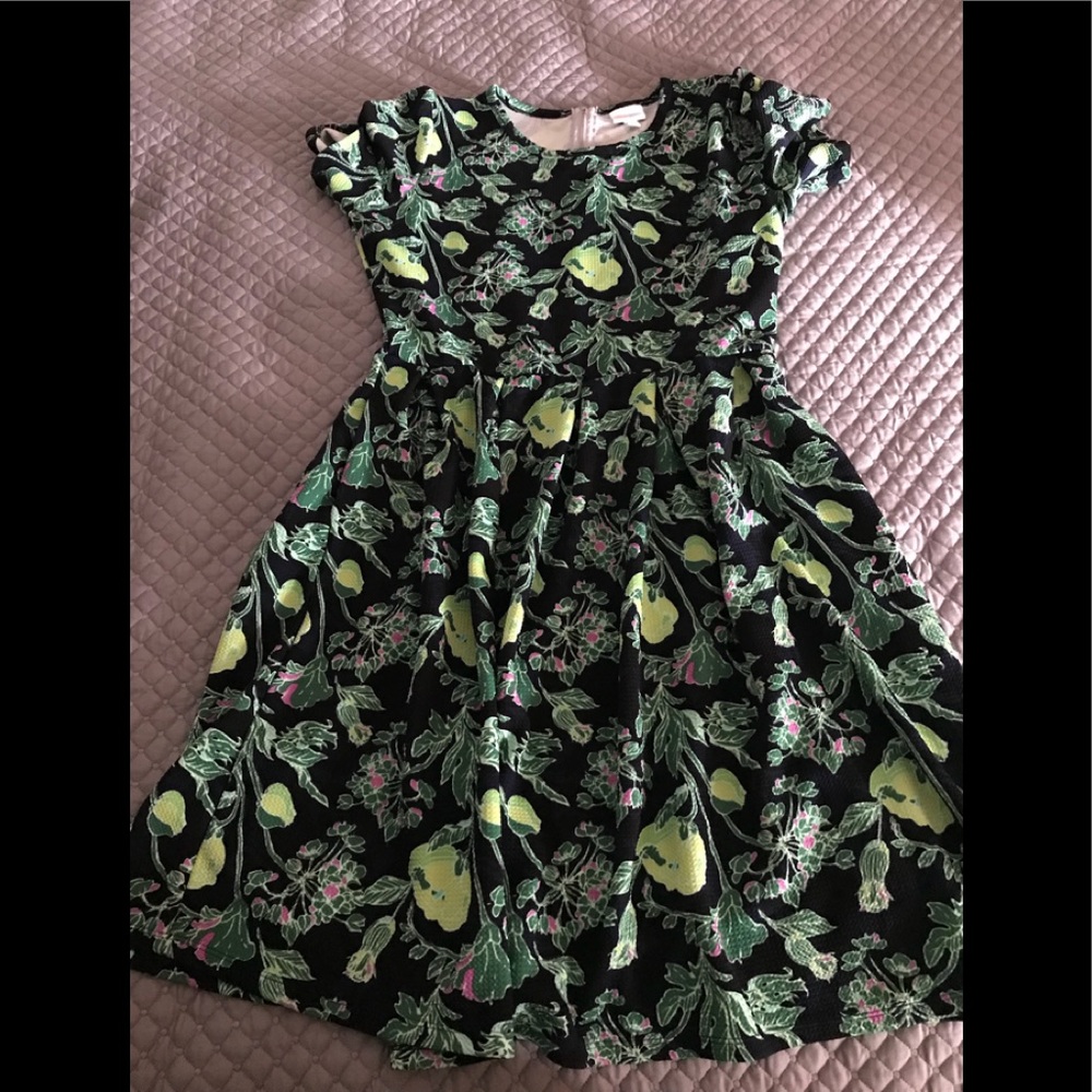 Lularoe Amelia
